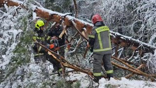 Иллюстрация 1