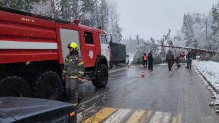 Иллюстрация 2