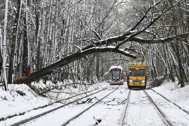 Мощный циклон вызвал масштабные повреждения в Москве и ряде областей