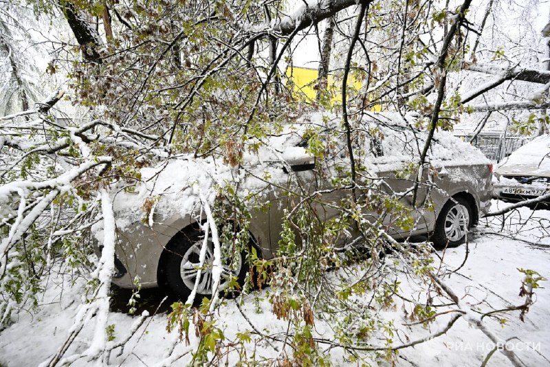 Иллюстрация 1