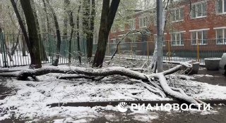 Иллюстрация 3