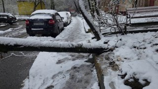 Иллюстрация 1