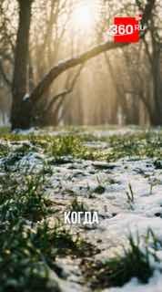 Когда наладится погода в столичном регионе и стоит ли ждать потепления?