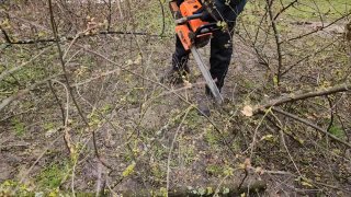 Иллюстрация 1