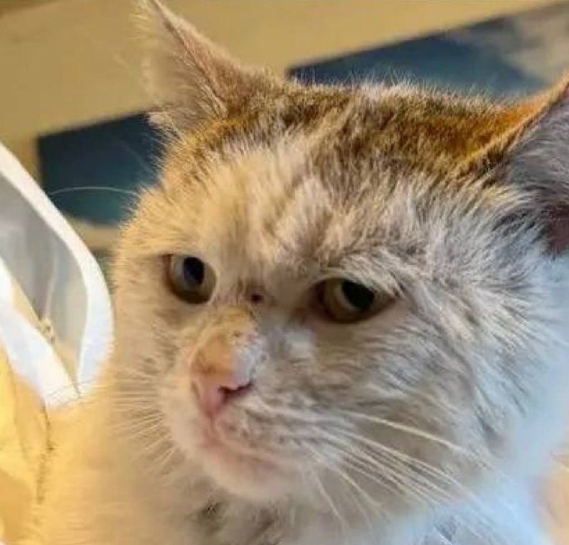 Иллюстрация 2