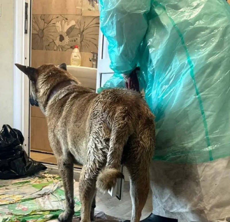 Иллюстрация 3