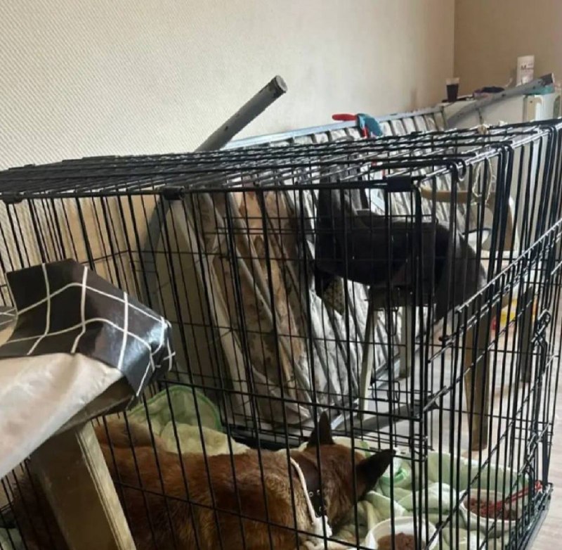 Иллюстрация 4