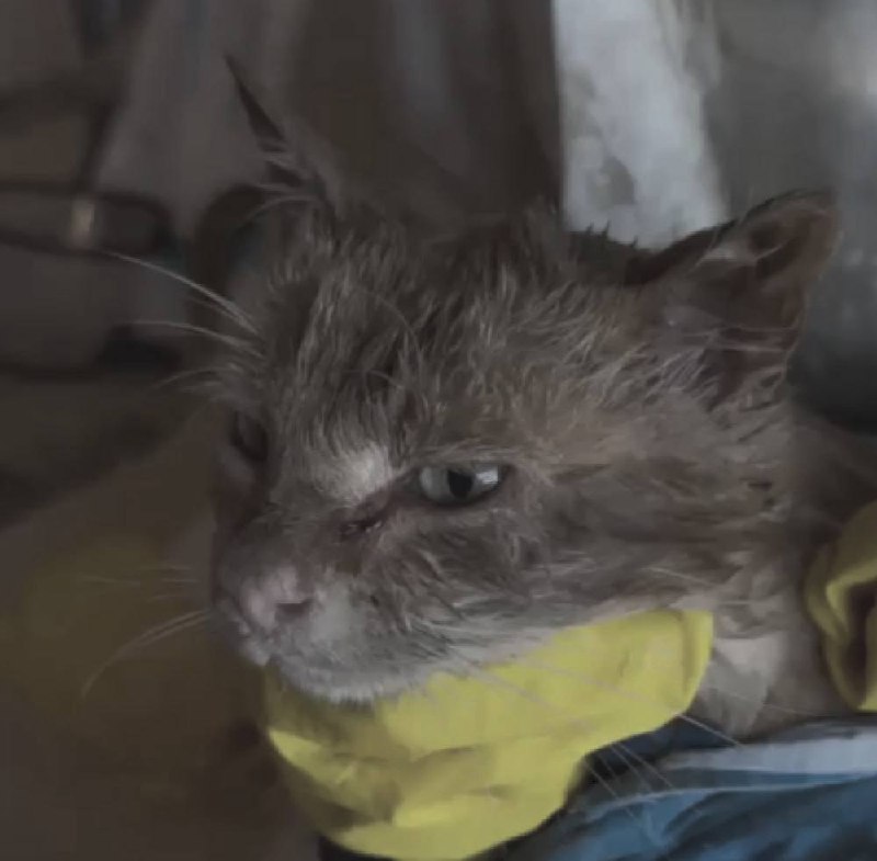 Иллюстрация 5