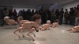 На выставке в Берлине представлены робопсы с головами известных личностей и художников