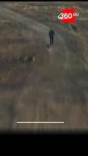 В Красноярске мужчина запер собаку в машине на три дня