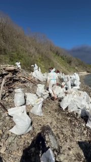 Иллюстрация 1