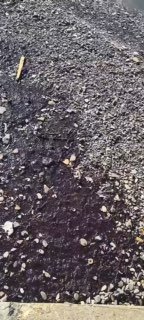 Иллюстрация 7