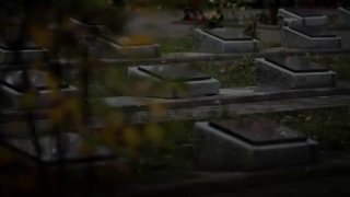 В пресс-центре «Россия сегодня» состоялся показ документального фильма о Дне Победы в Прибалтике