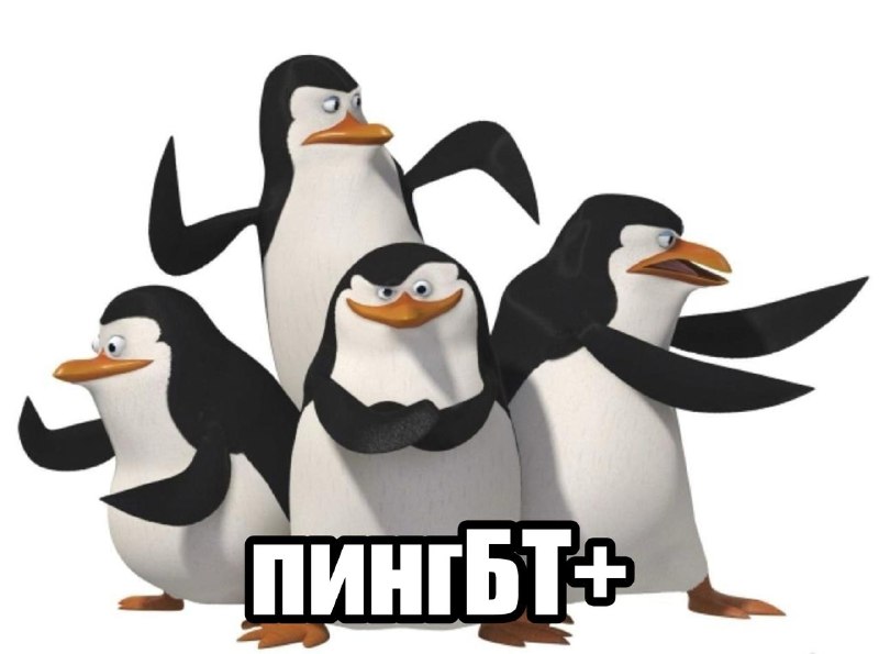 В Калуге запретили спектакль о свадьбе трёх пингвинов из-за обвинений в пропаганде ЛГБТ