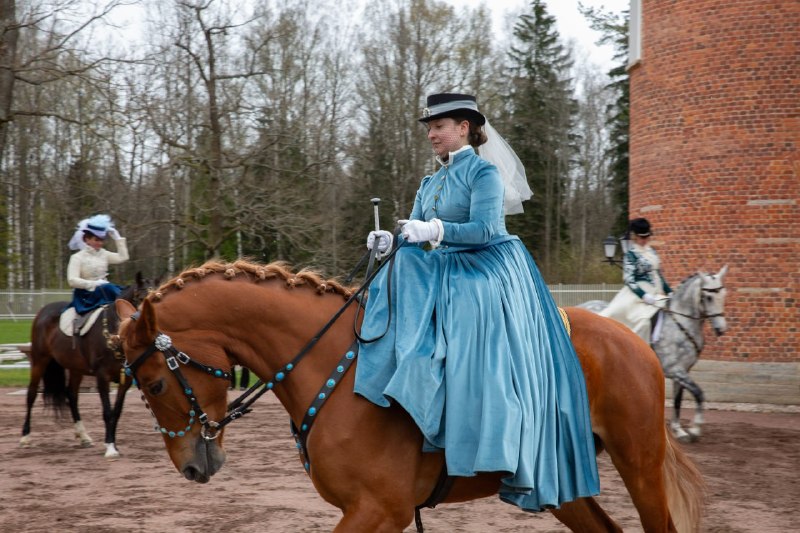 Иллюстрация 4