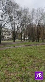 На Васильевском острове жители жалуются на агрессивных борзых