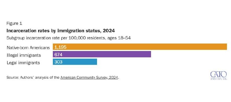 Мигранты в США попадают в тюрьмы реже коренных граждан — исследование