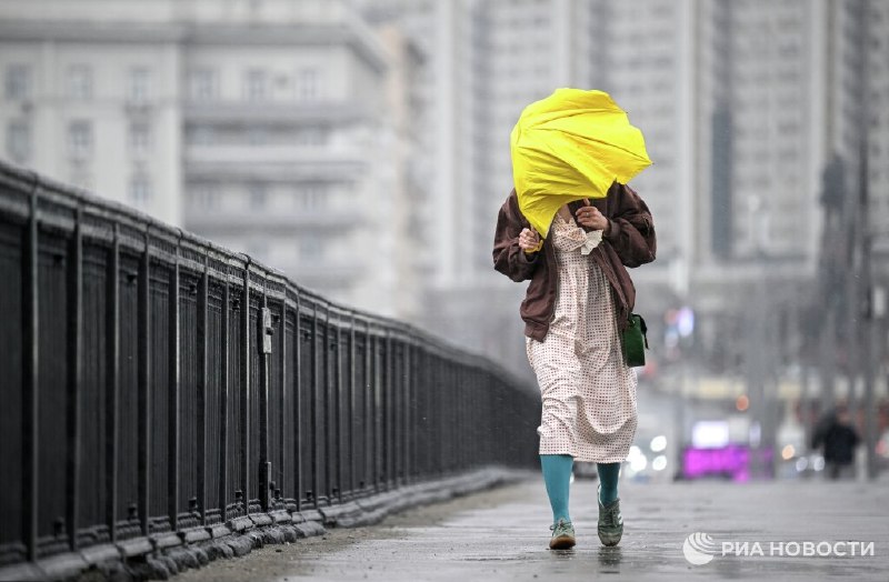 В Москве ожидаются «черемуховые» холода и повышенное количество осадков в мае
