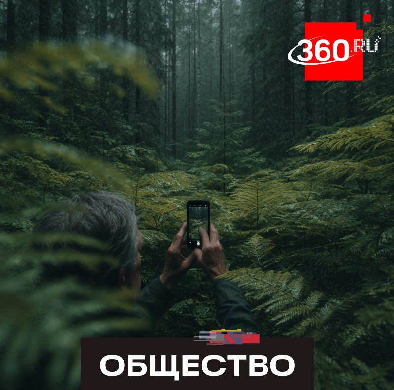 В Госдуме предложили разрешить уведомлять МЧС о туристических маршрутах через «Госуслуги»