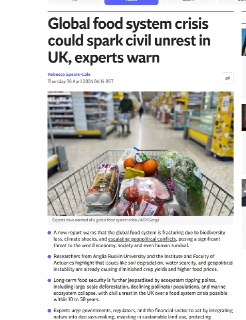 Глобальный кризис продовольственной системы может спровоцировать гражданские беспорядки в Великобритании