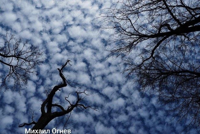 Прогноз погоды в Санкт-Петербурге на пятницу