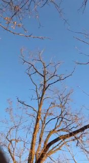 Обломки БПЛА ВС Украины атаковали нефтепроводную станцию в Перми