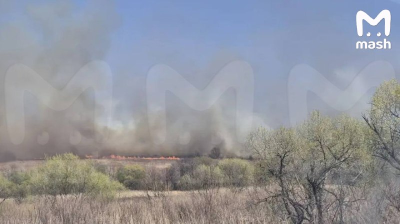 В пригороде Владивостока из-за ошибки сварщика вспыхнул крупный лесной пожар