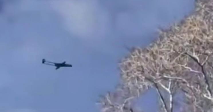 Иллюстрация 4