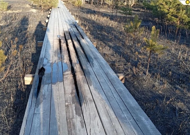 Иллюстрация 2