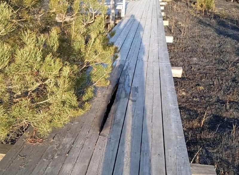 Иллюстрация 3