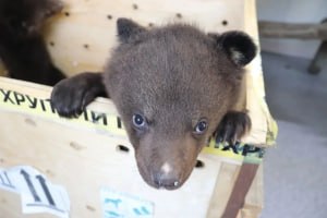 Иллюстрация 2