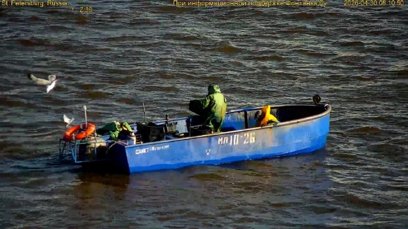 Иллюстрация 3