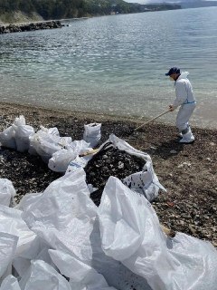 В Туапсинском округе произошли локальные выбросы нефтепродуктов на береговой линии