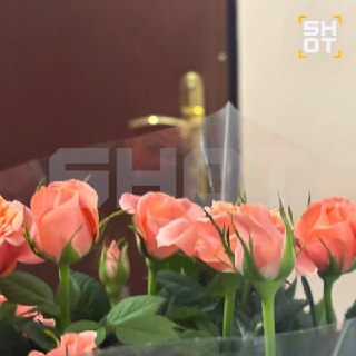 Иллюстрация 1