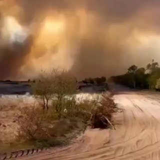 На военном полигоне в Нидерландах из-за пожара возник риск детонации боеприпасов