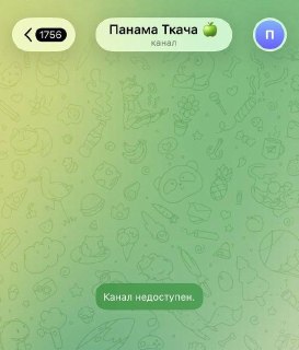 Задержанный в Екатеринбурге активист «Яблока» Егор Ткаченко удалил свой телеграм-канал