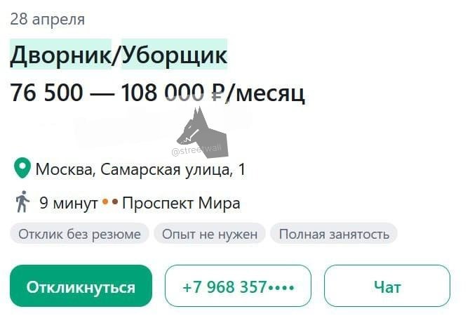Разница в зарплатах дворников в Москве и Санкт-Петербурге