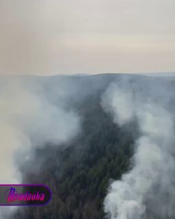 В Красноярском крае за сутки потушили 42 пожара — один из них устроили туристы