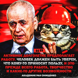 В РАН раскрыли секрет долголетия