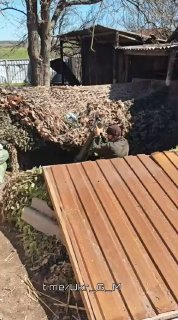 Боевики ВСУ разместили миномет во дворе частного дома в Украине
