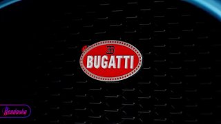 Bugatti выпустила родстер в эксклюзивной расцветке Fly Bug