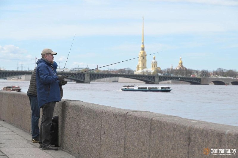 Май встретил петербуржцев солнечной и мягкой погодой