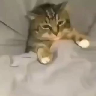 Международный День ничегонеделания