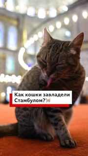 Туристический план на Стамбул