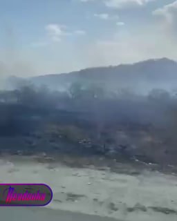 В Приморье горят леса — огонь подошел к федеральной трассе у границы с Китаем