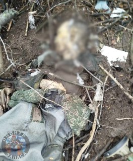 Поисковики обнаружили тела погибших воинов