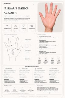Иллюстрация 2