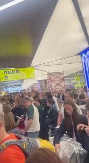 В Шереметьево из-за тотального досмотра возник затор с выдачей багажа