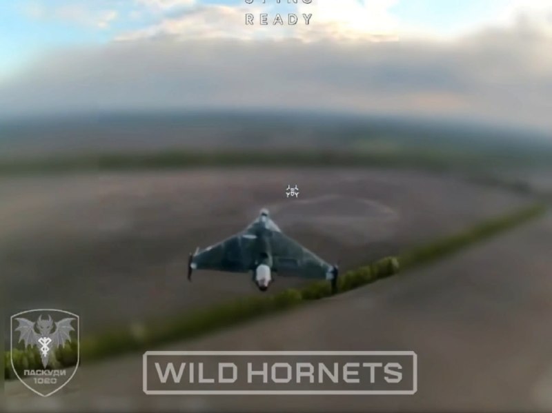 Иллюстрация 2