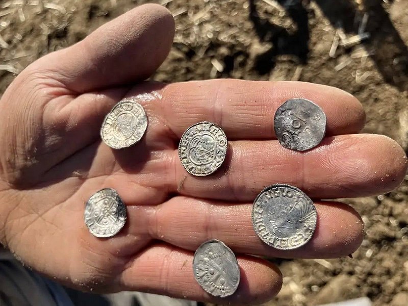 В Норвегии найден крупнейший клад из более чем 3000 викингских монет